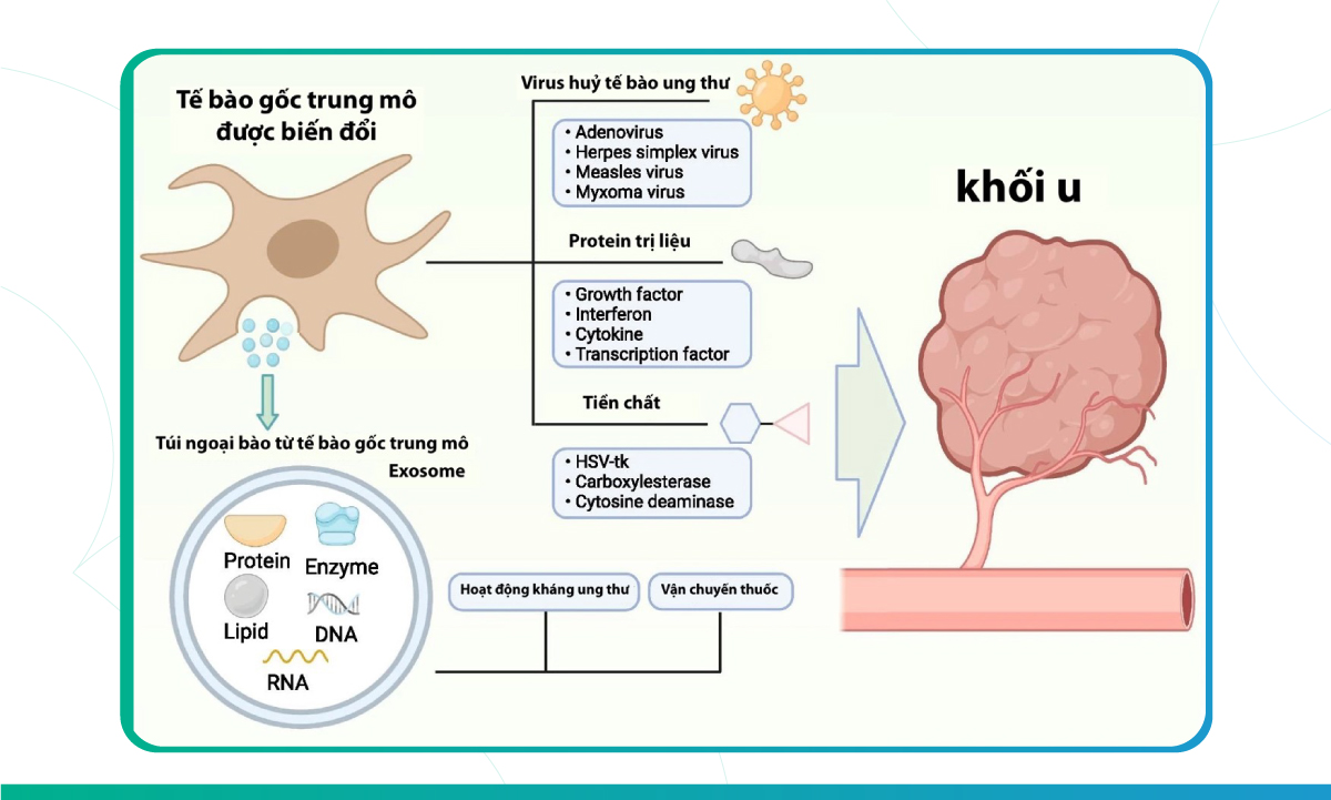 Liệu Pháp Enzyme Chữa Ung Thư: Giải Pháp Tiềm Năng Cho Người Bệnh