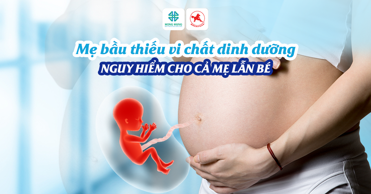 vi chất dinh dưỡng